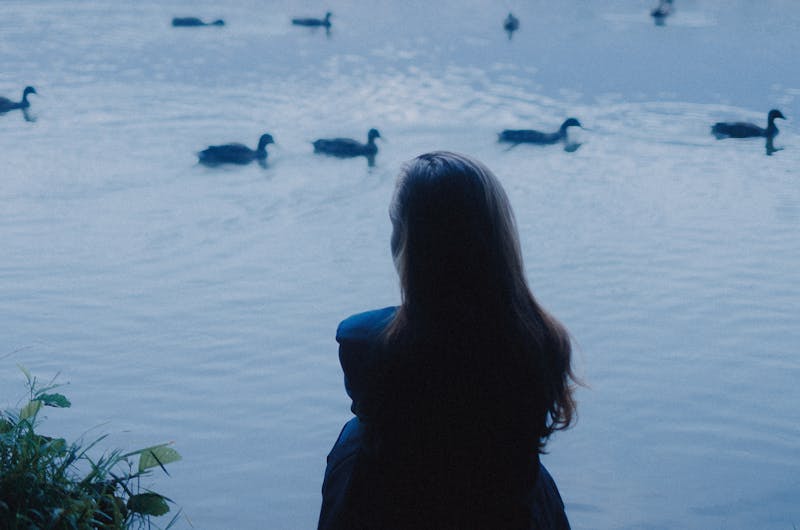 A woman sits by a tranquil lakeside with ducks swimming at sunrise in Belarus.
