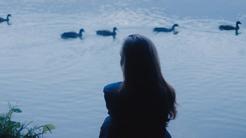A woman sits by a tranquil lakeside with ducks swimming at sunrise in Belarus.